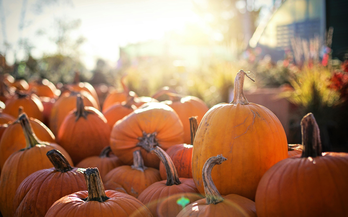 Fall in Hertford, NC: Celebrate the Season in Style